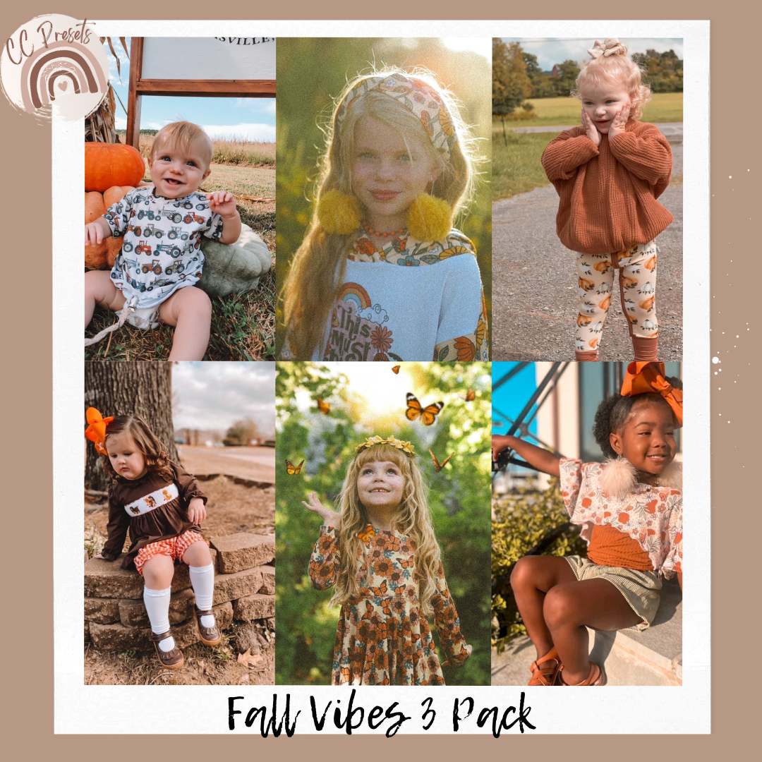 Fall Vibes 3-Pack