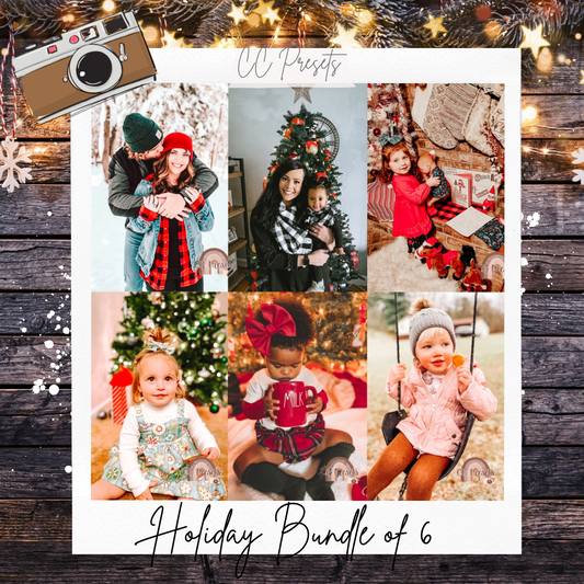 Updated Holiday Bundle of 6